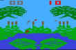 frogflies.jpg (20900 byte)